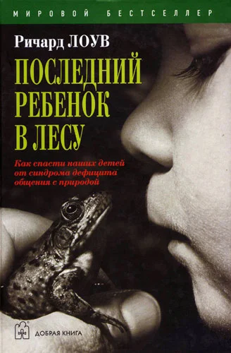 Обложка Последний ребенок в лесу