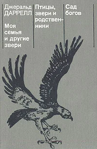 Обложка Птицы, звери и родственники