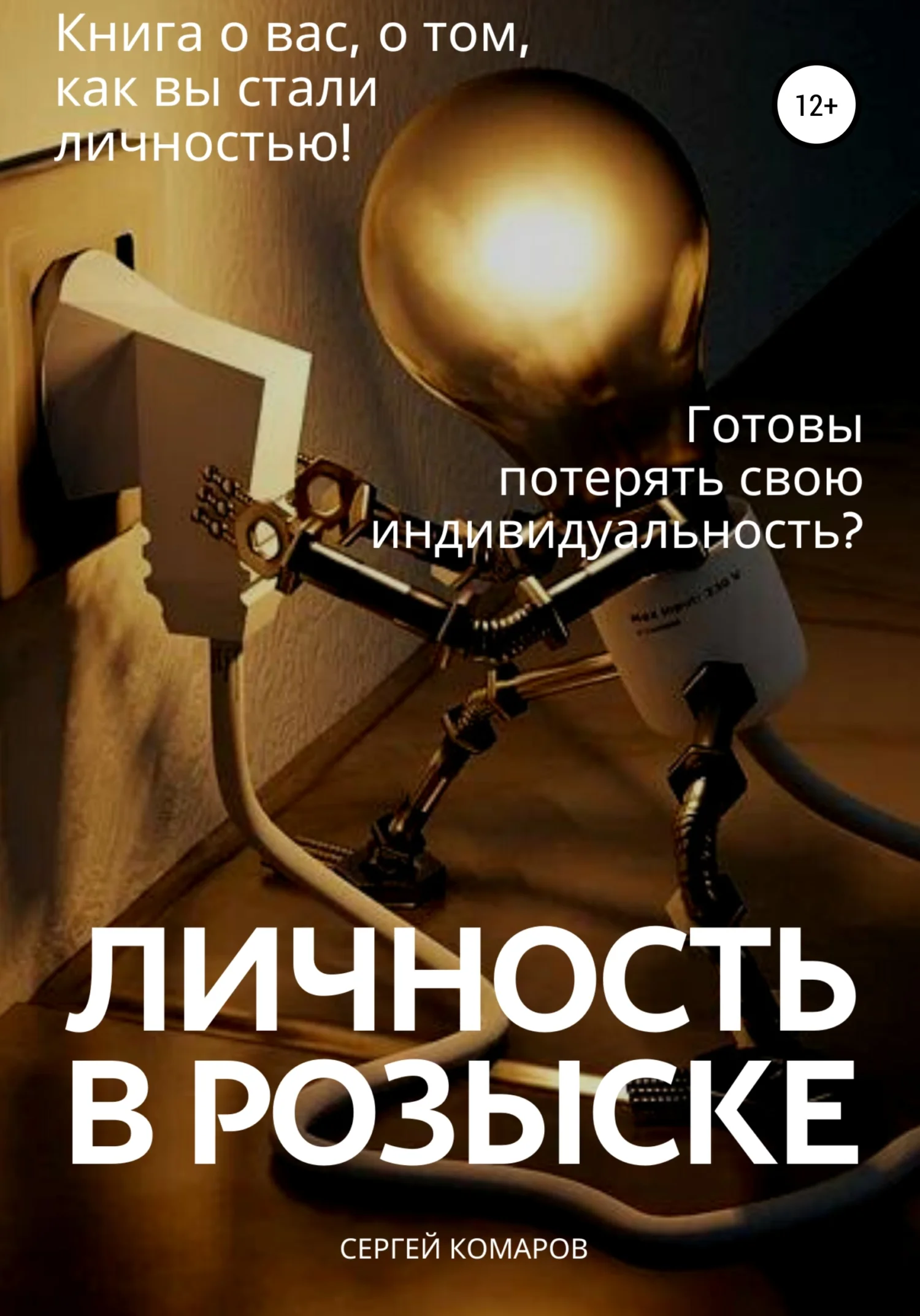 Обложка Личность в розыске