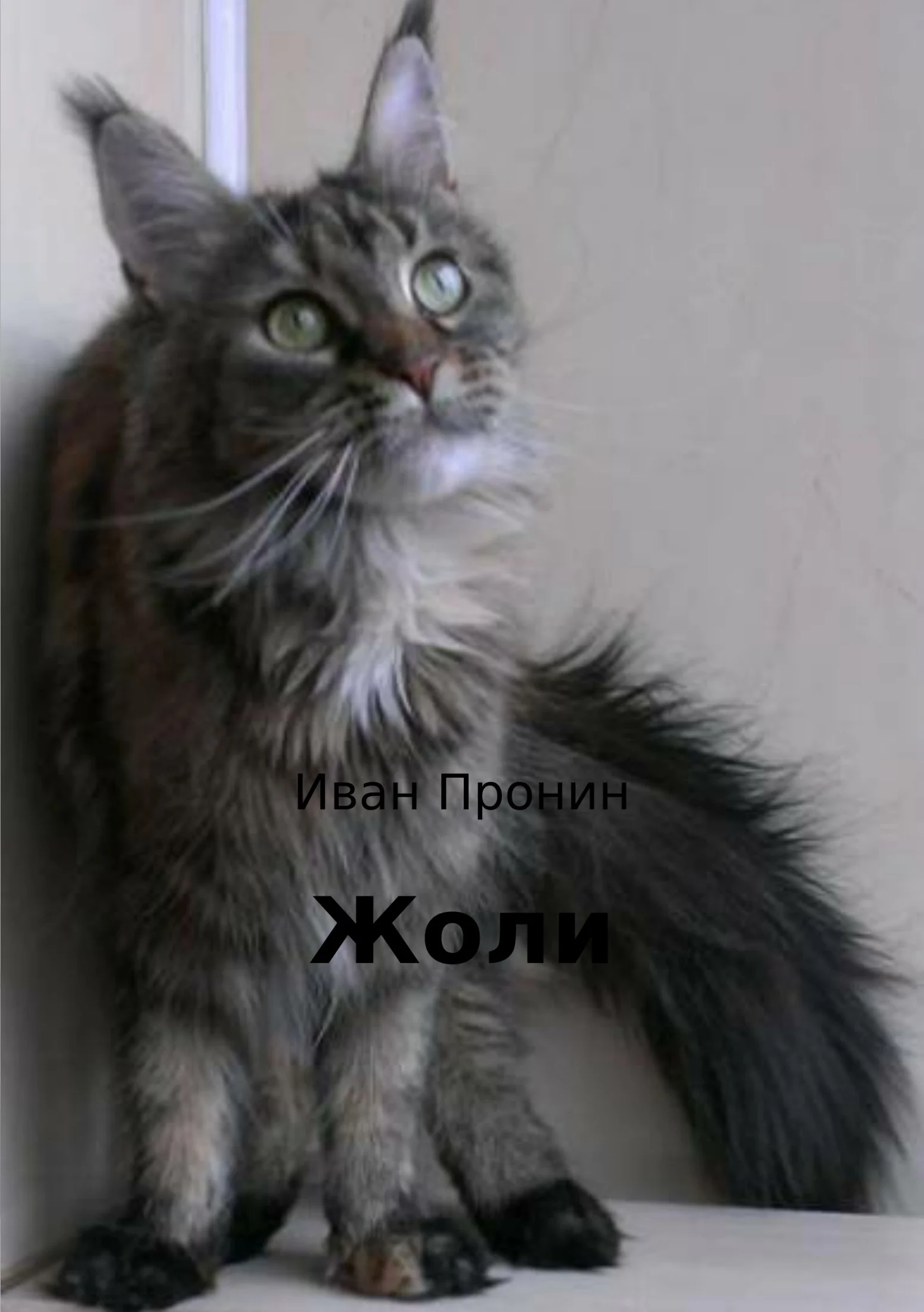 Обложка Жоли