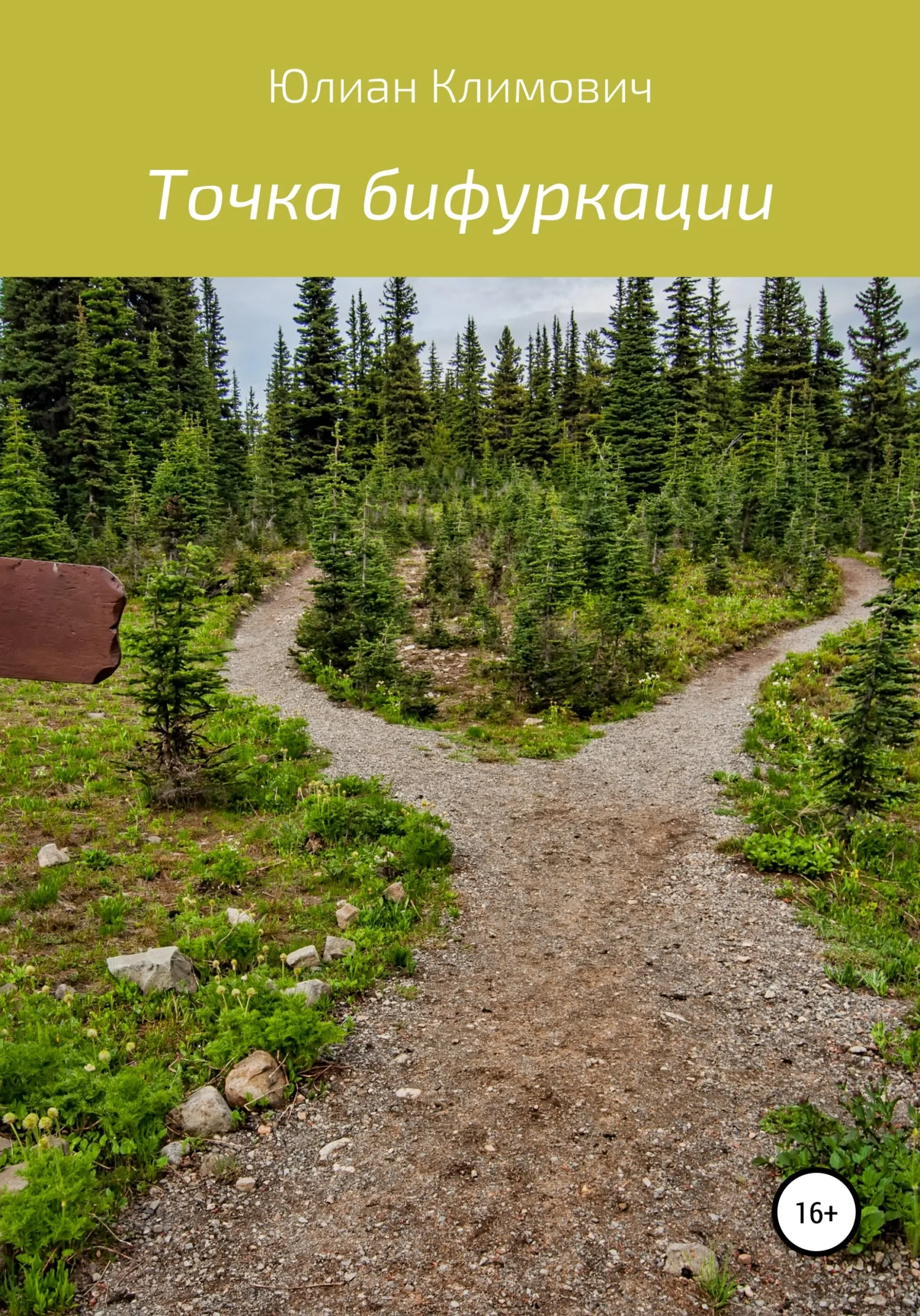 Обложка Точка бифуркации