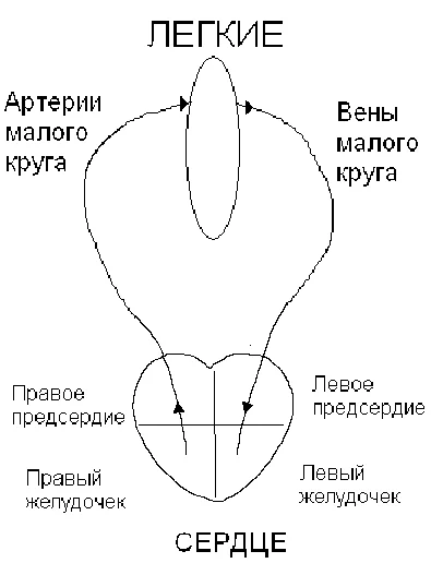 Обложка АнтиМалахов