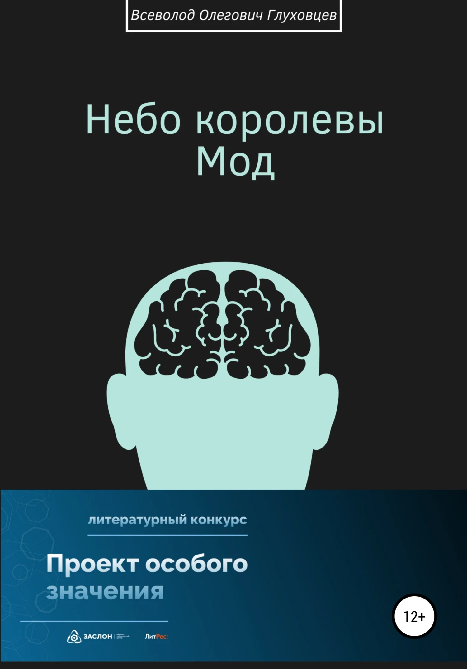 Обложка Небо королевы Мод