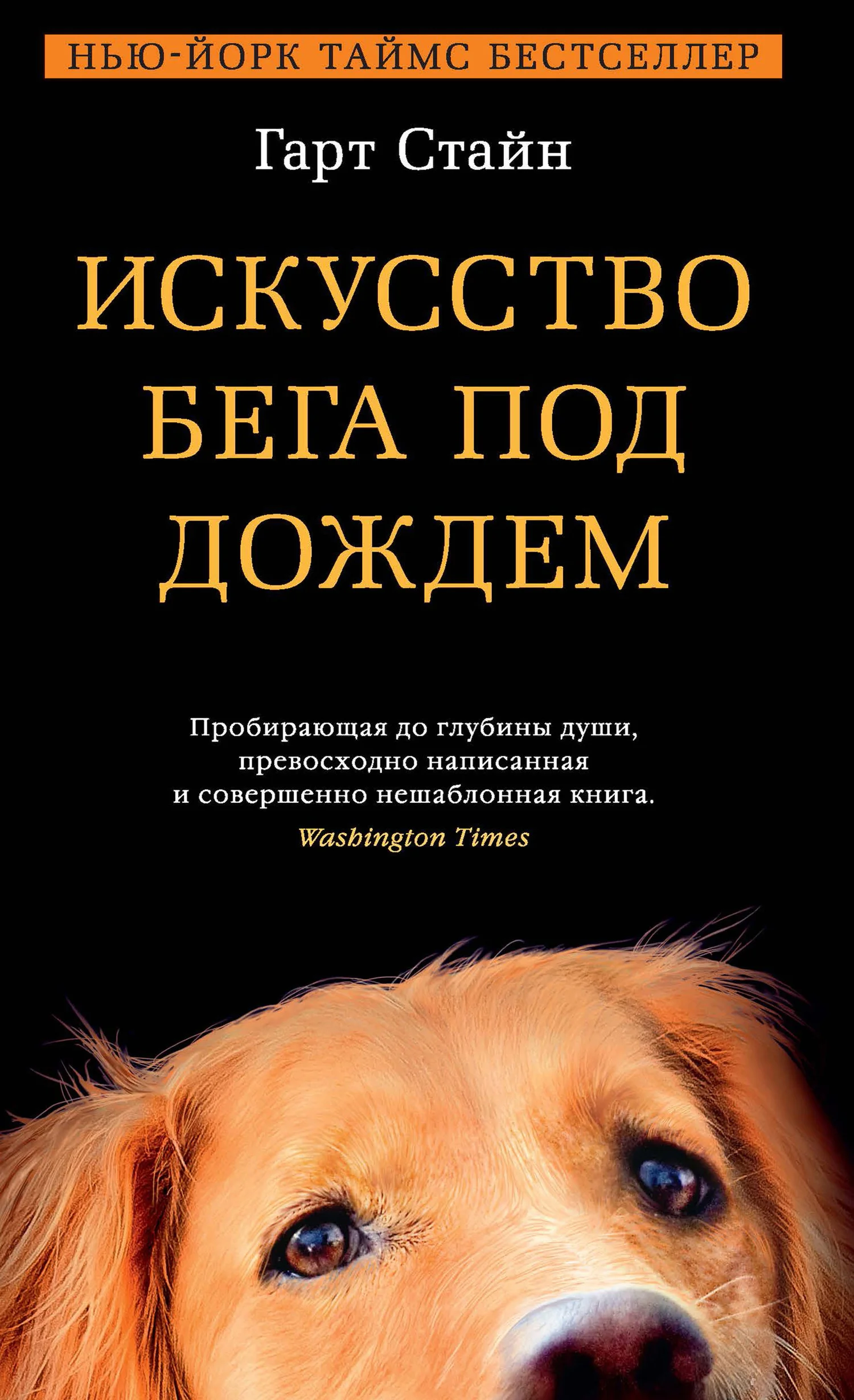 Обложка Искусство бега под дождем