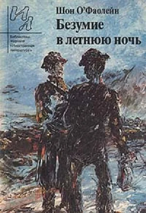 Обложка Безумие в летнюю ночь: рассказы