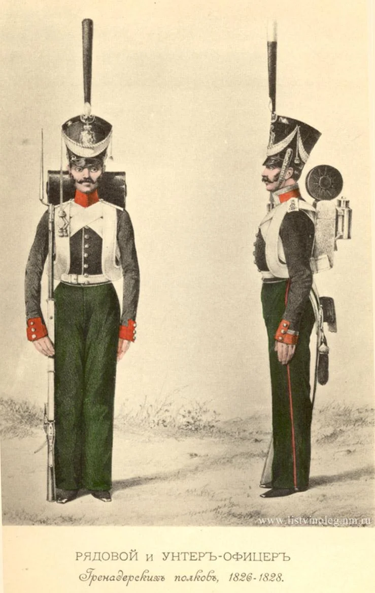 Обложка Историческое описание одежды и вооружения российских войск. Том 19