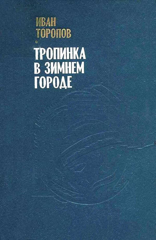 Обложка Тропинка в зимнем городе