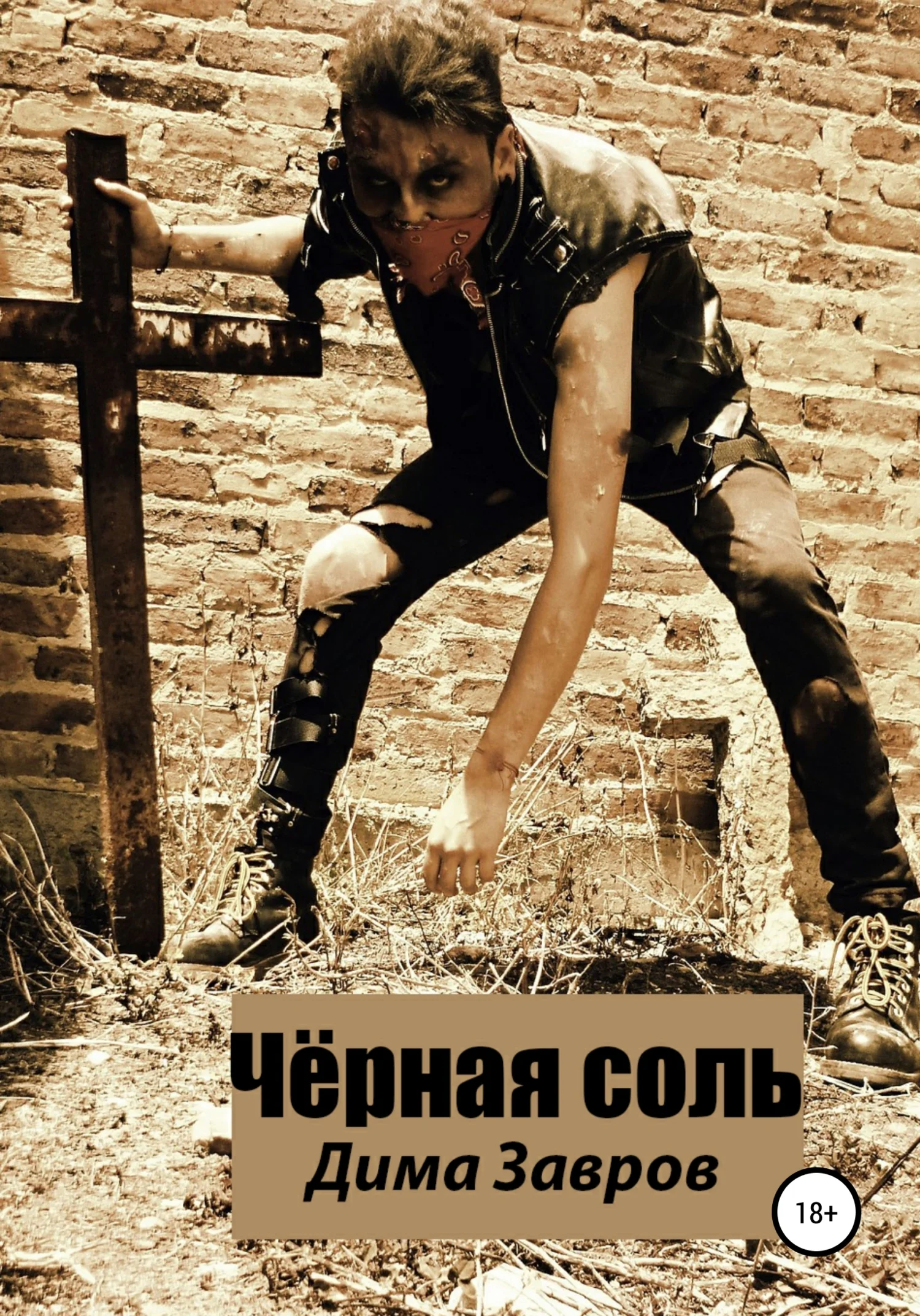 Обложка Чёрная соль