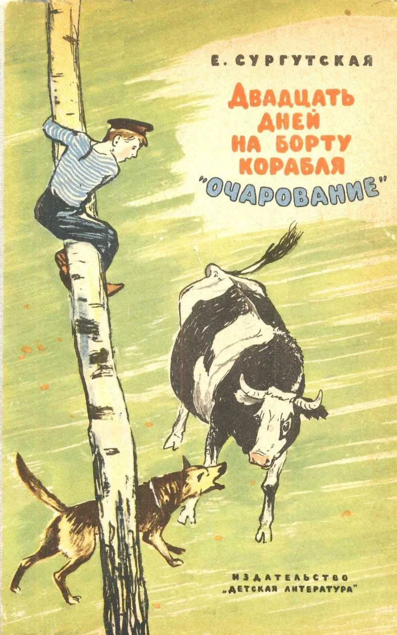 Обложка Двадцать дней на борту корабля "Очарование"