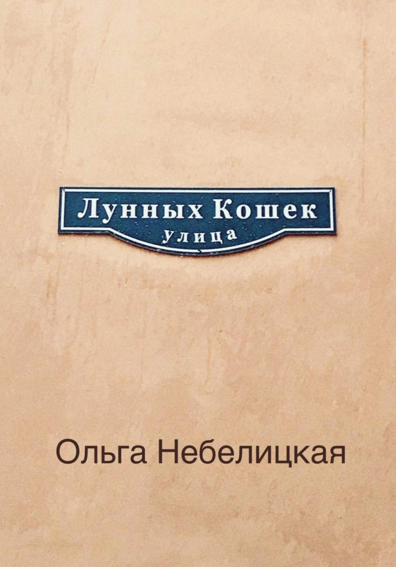 Обложка Улица лунных кошек