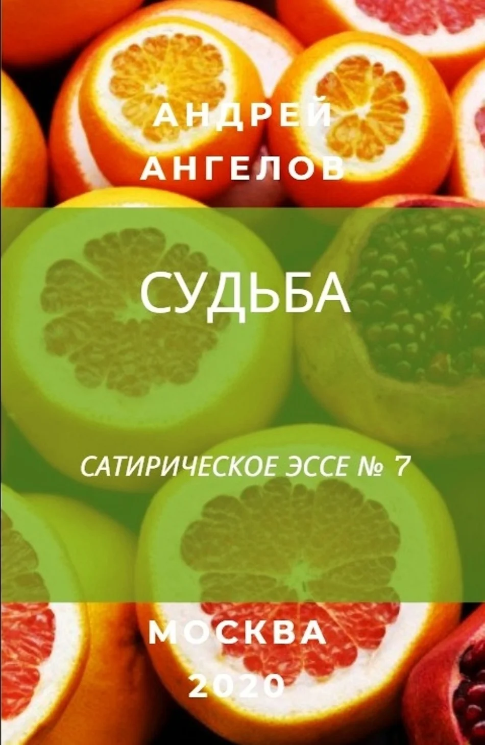 Обложка Судьба
