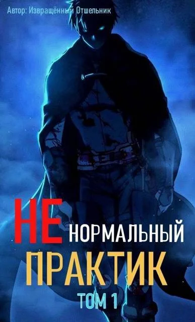 Обложка Ненормальный практик 1