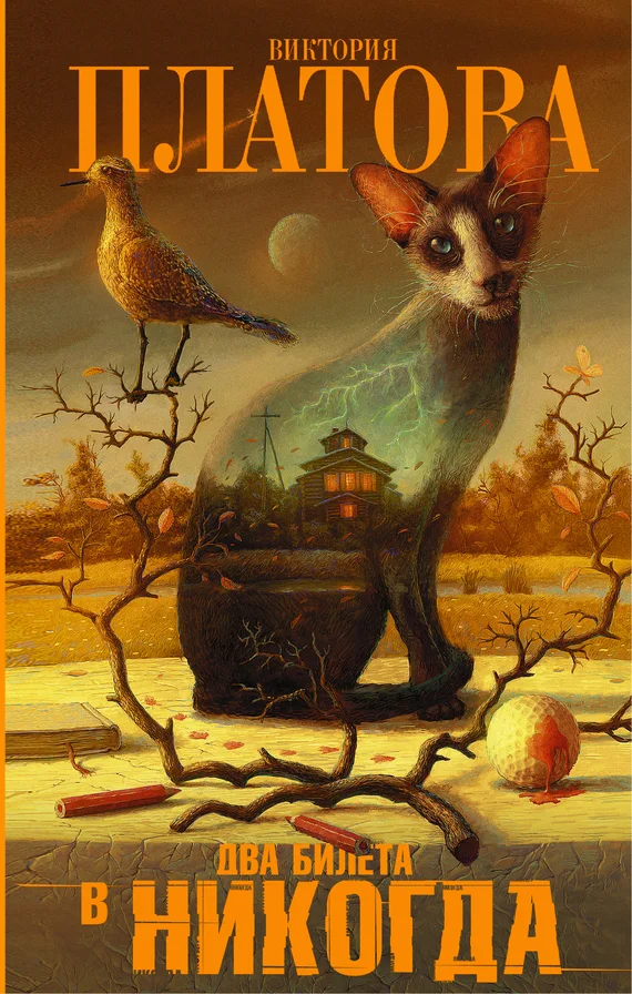 Обложка Два билета в никогда