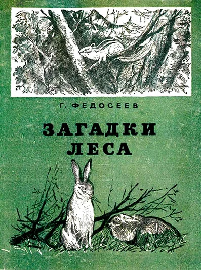 Обложка Загадки леса
