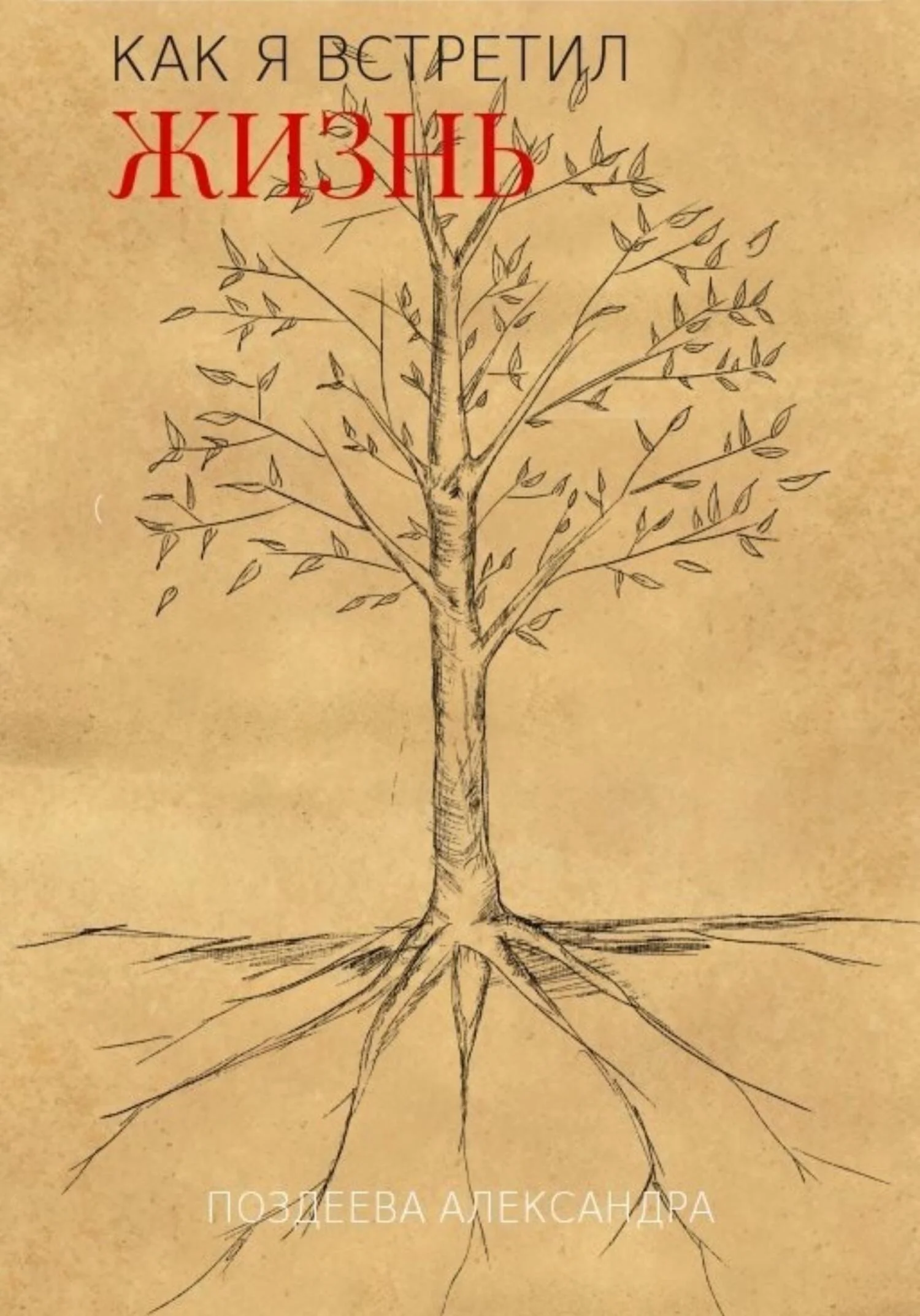 Обложка Как я встретил жизнь