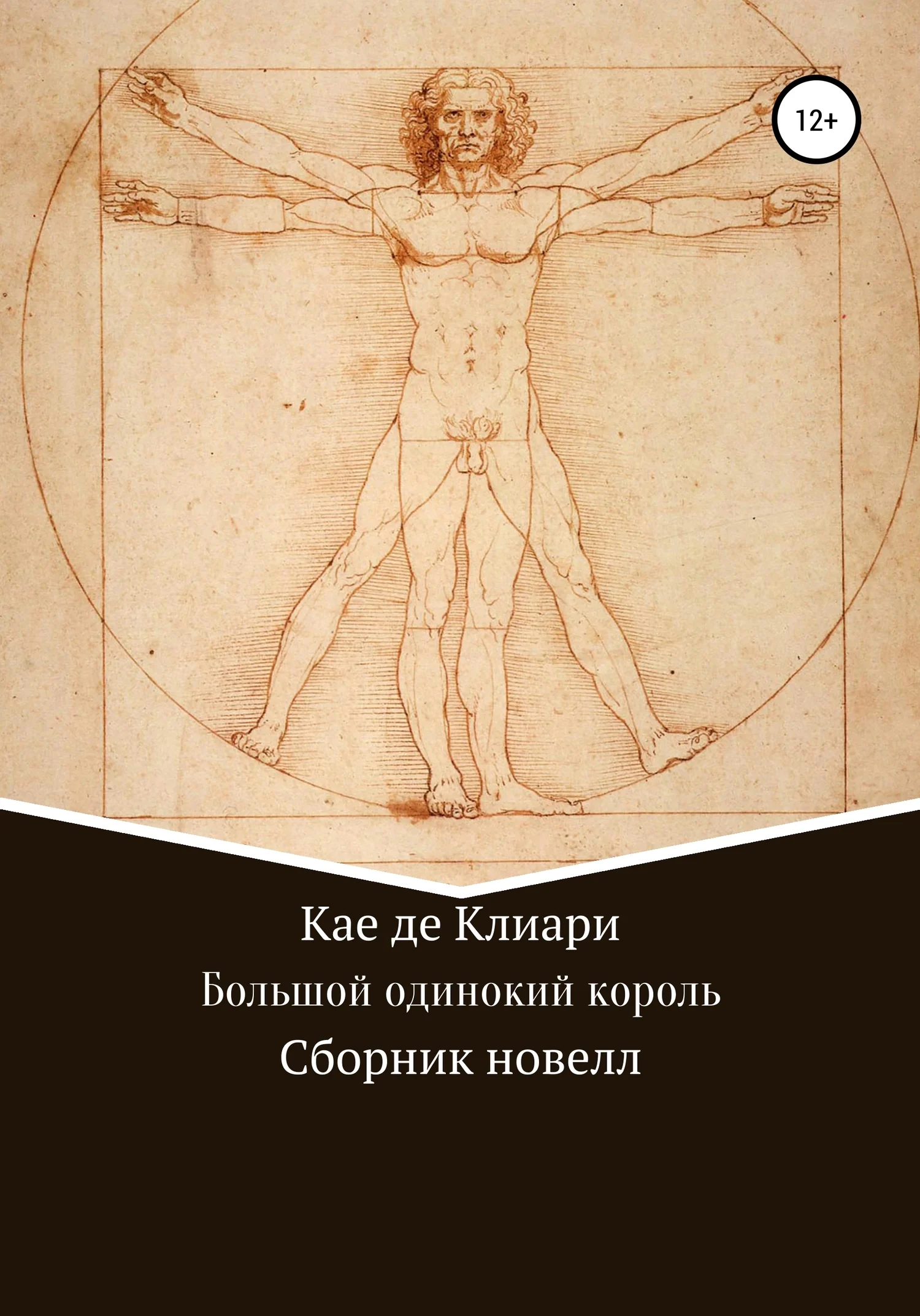 Обложка Большой одинокий король. Сборник новелл