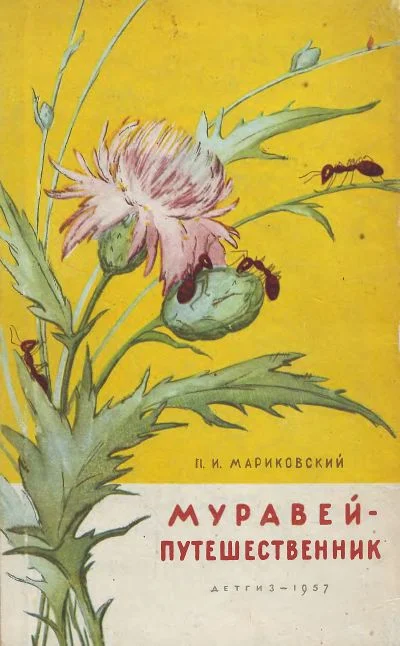 Обложка Муравей-путешественник