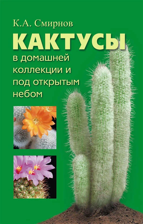 Обложка Кактусы в домашней коллекции и под открытым небом