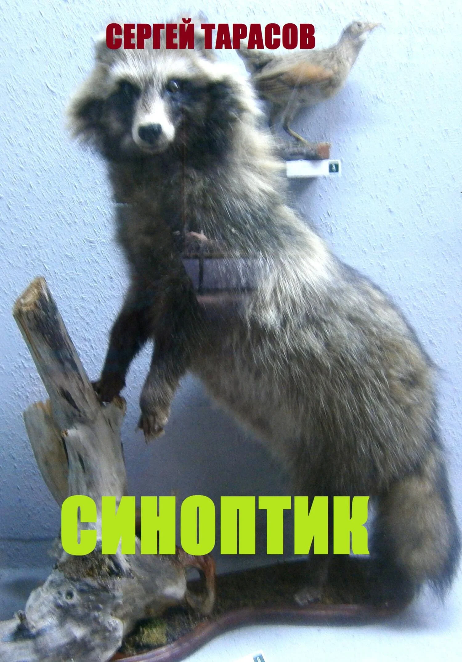 Обложка Синоптик