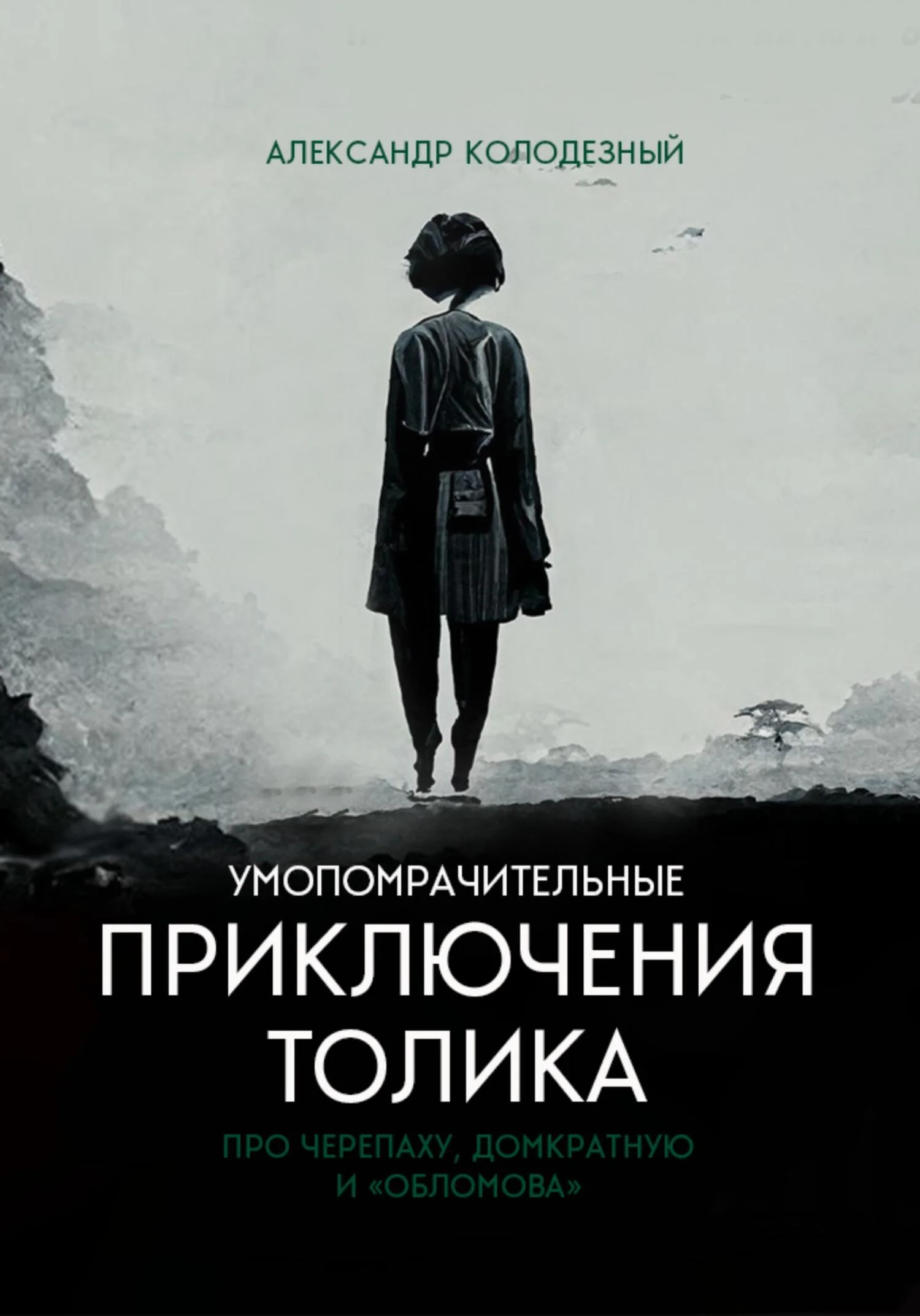 Обложка Умопомрачительные приключения Толика. Про черепаху, домкратную и «Обломова»
