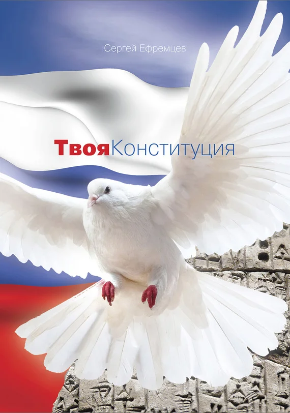 Обложка Твоя Конституция