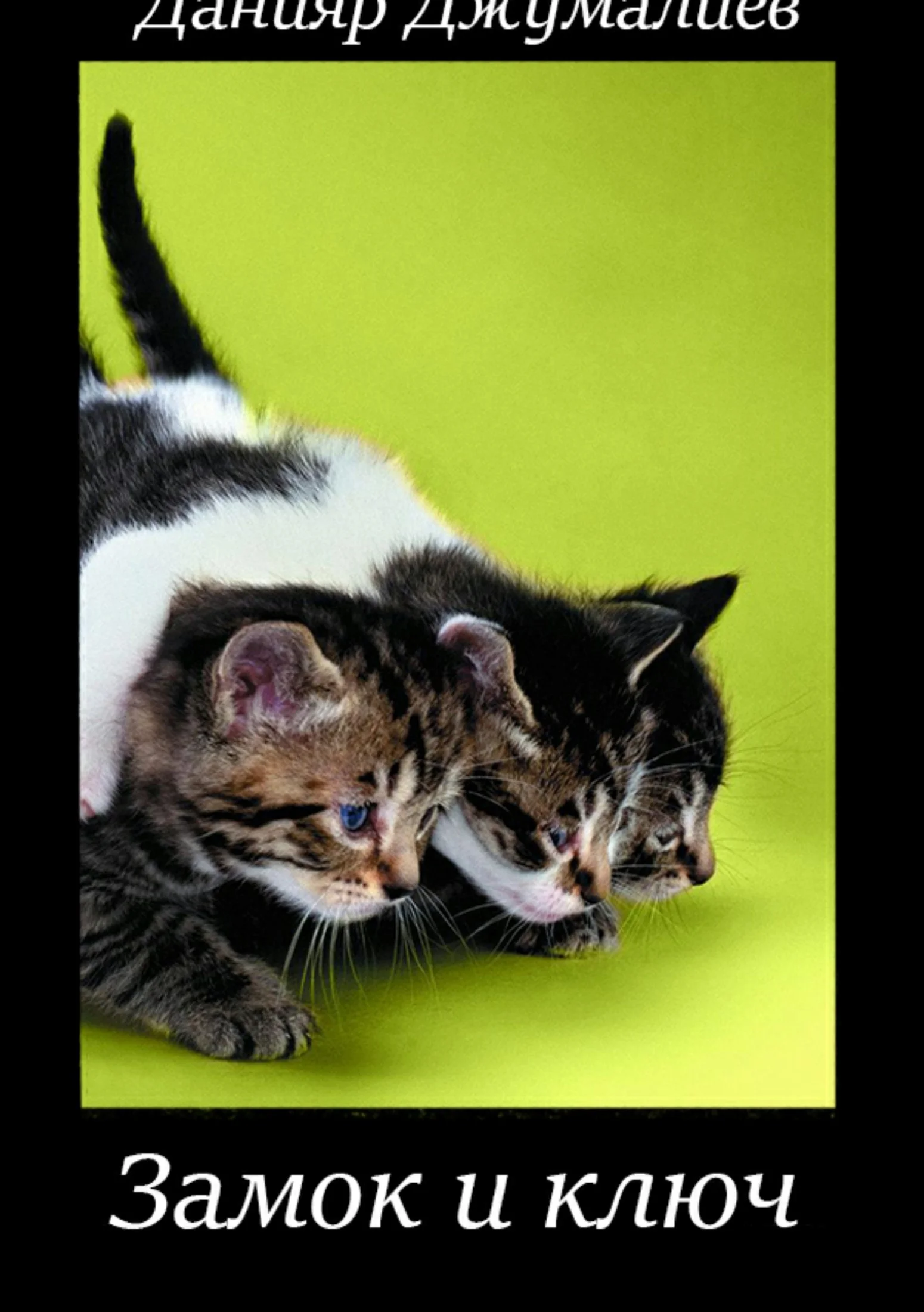 Обложка Замок и ключ