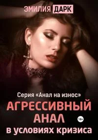 Обложка Агрессивный анал в условиях кризиса