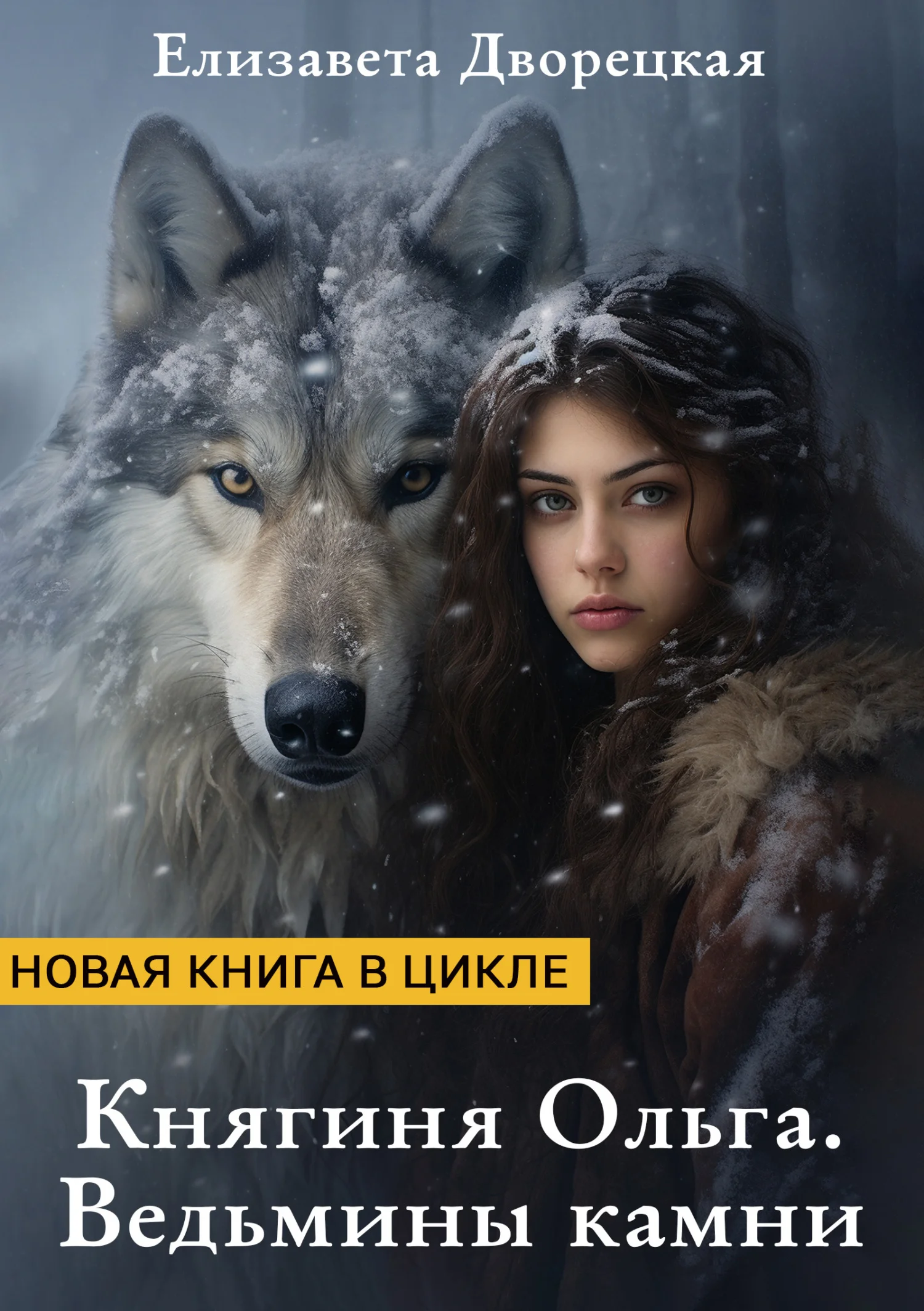 Обложка Ведьмины камни