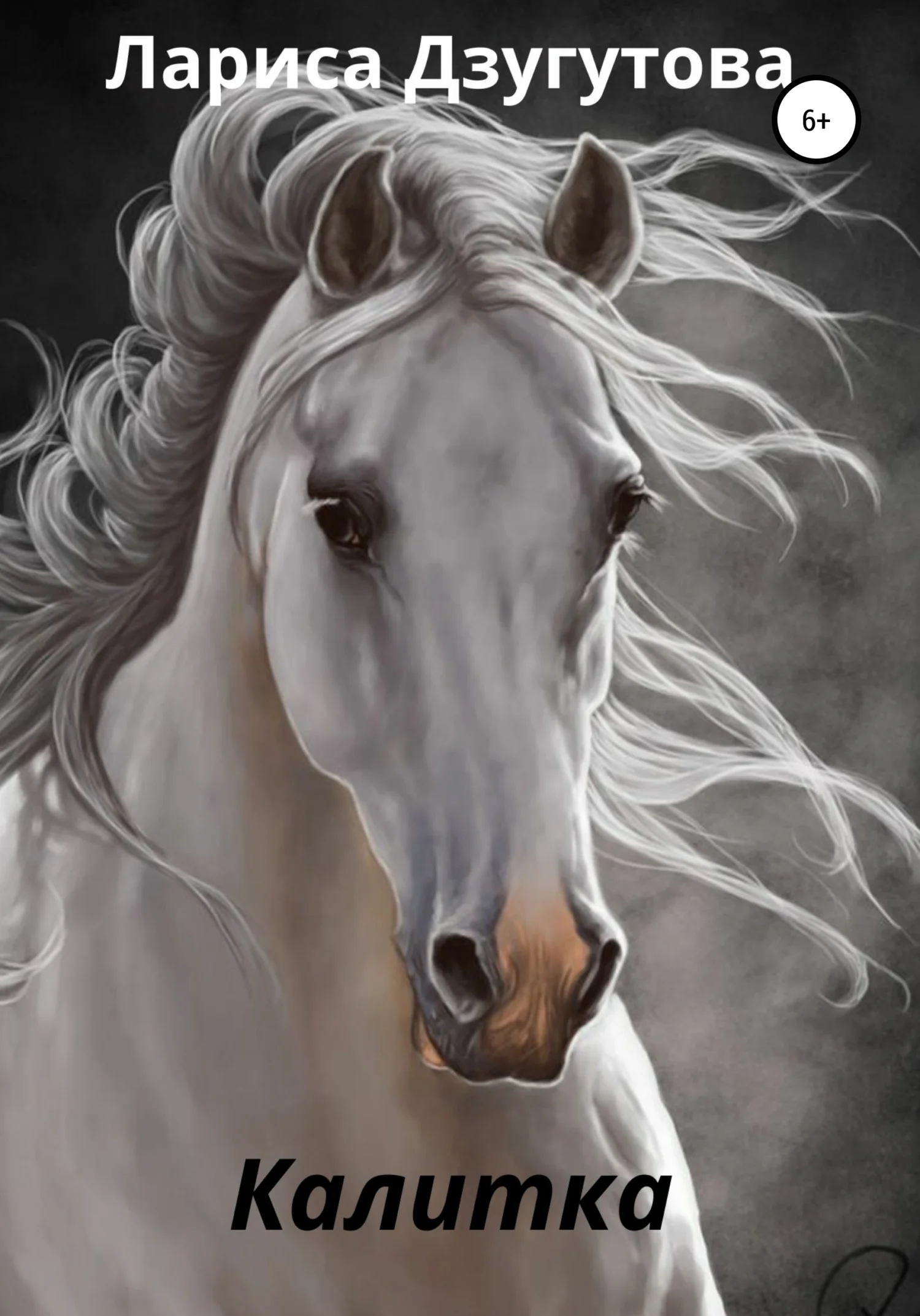 Обложка Калитка