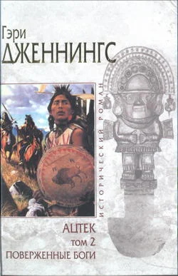 Обложка Ацтек. Поверженные боги