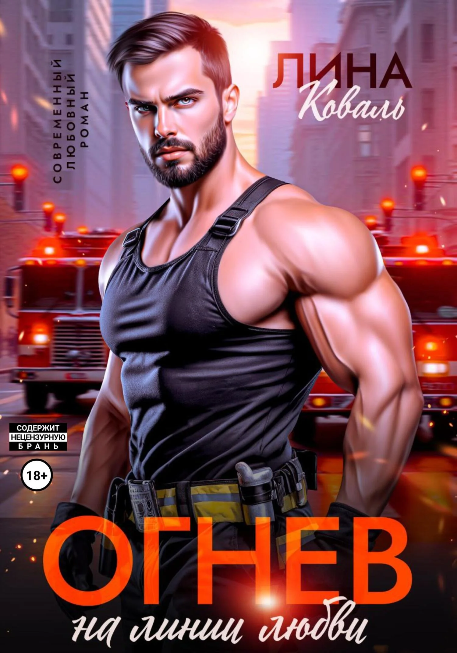 Обложка Огнев на линии любви