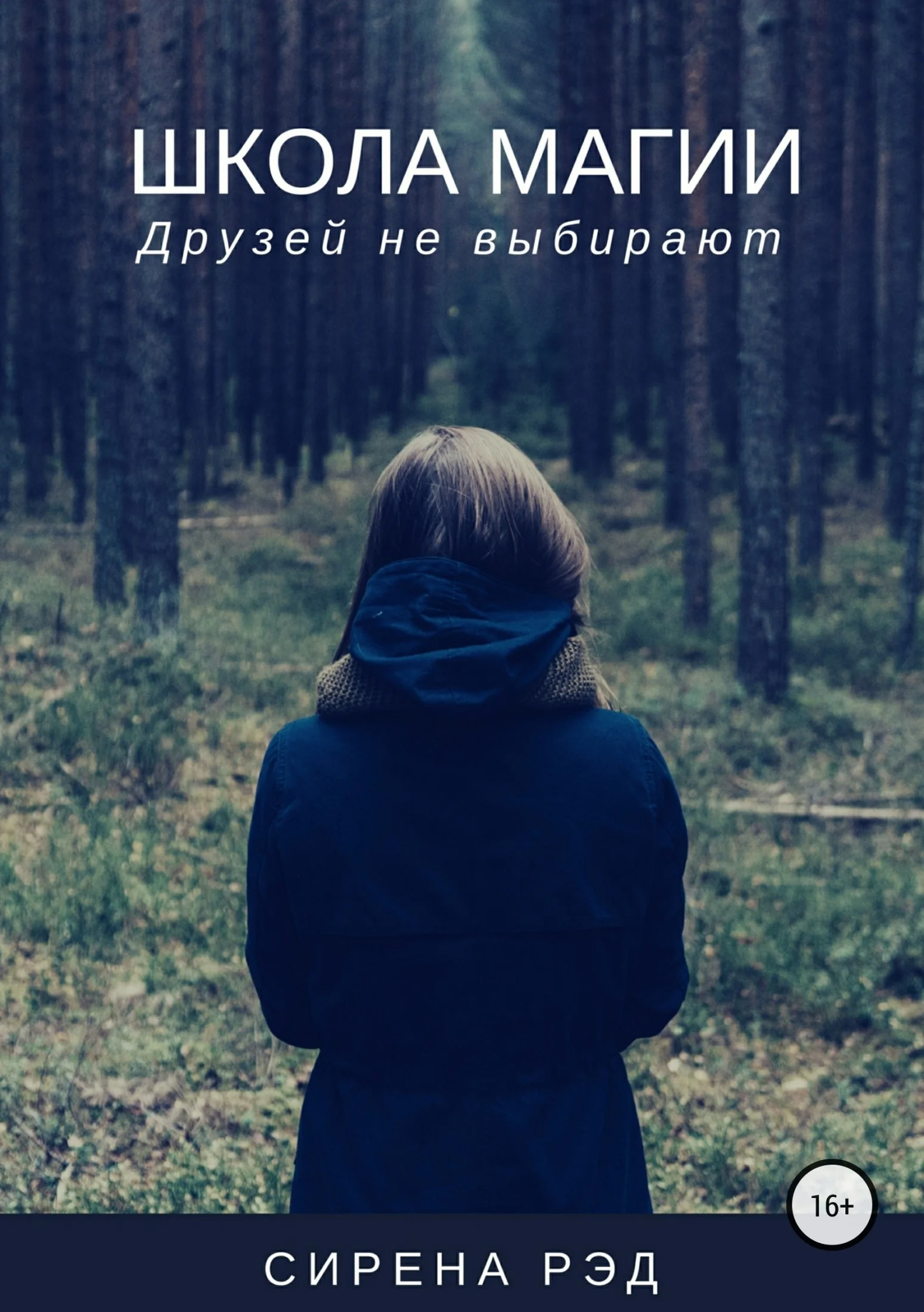 Обложка Школа магии, или Друзей не выбирают