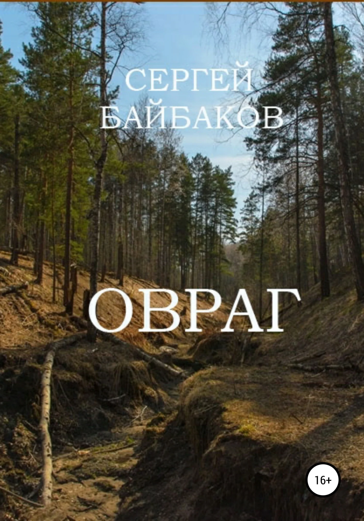 Обложка Овраг