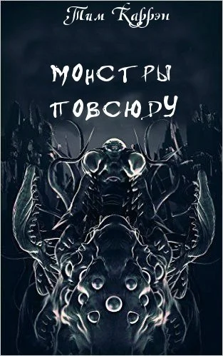Обложка Тень скитальца