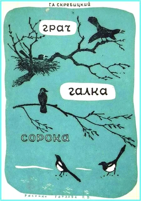 Обложка Грач. Галка. Сорока