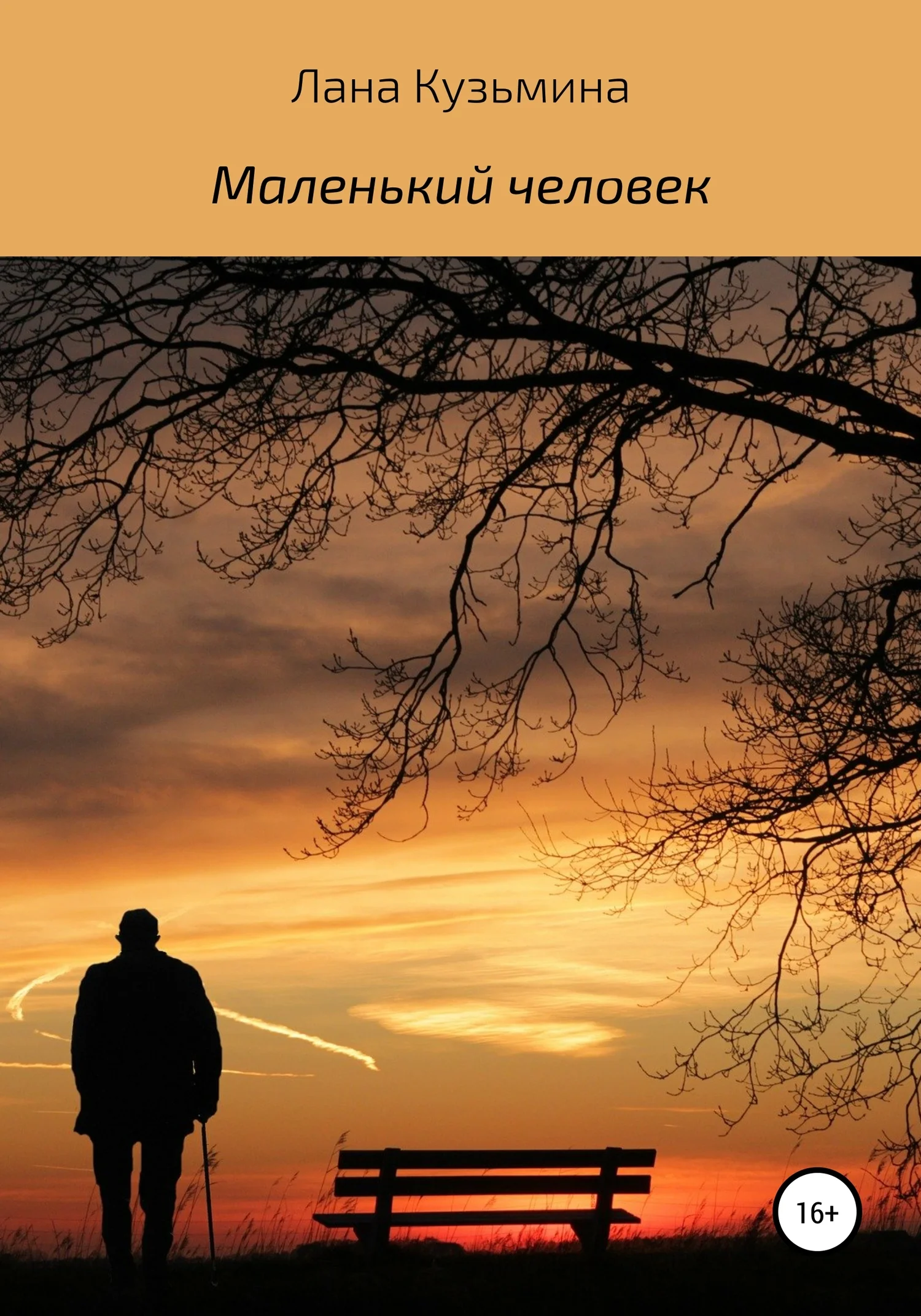 Обложка Маленький человек. Сборник