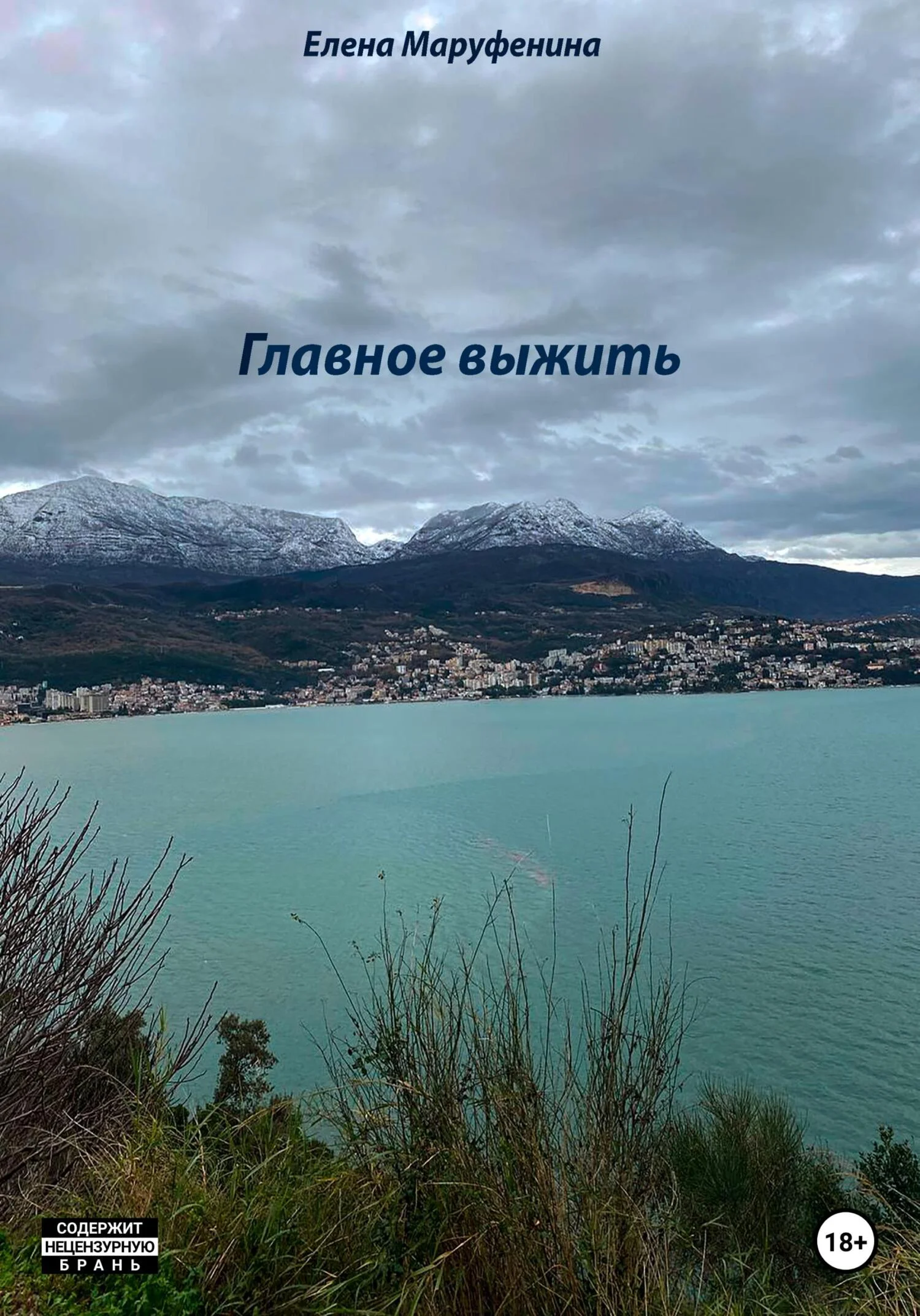 Обложка Главное выжить