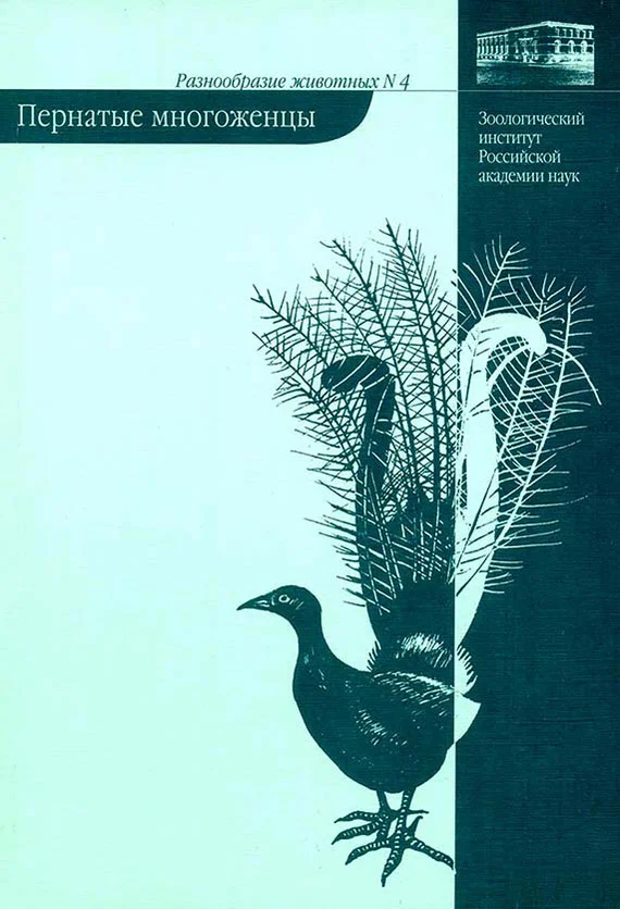 Обложка Пернатые многоженцы