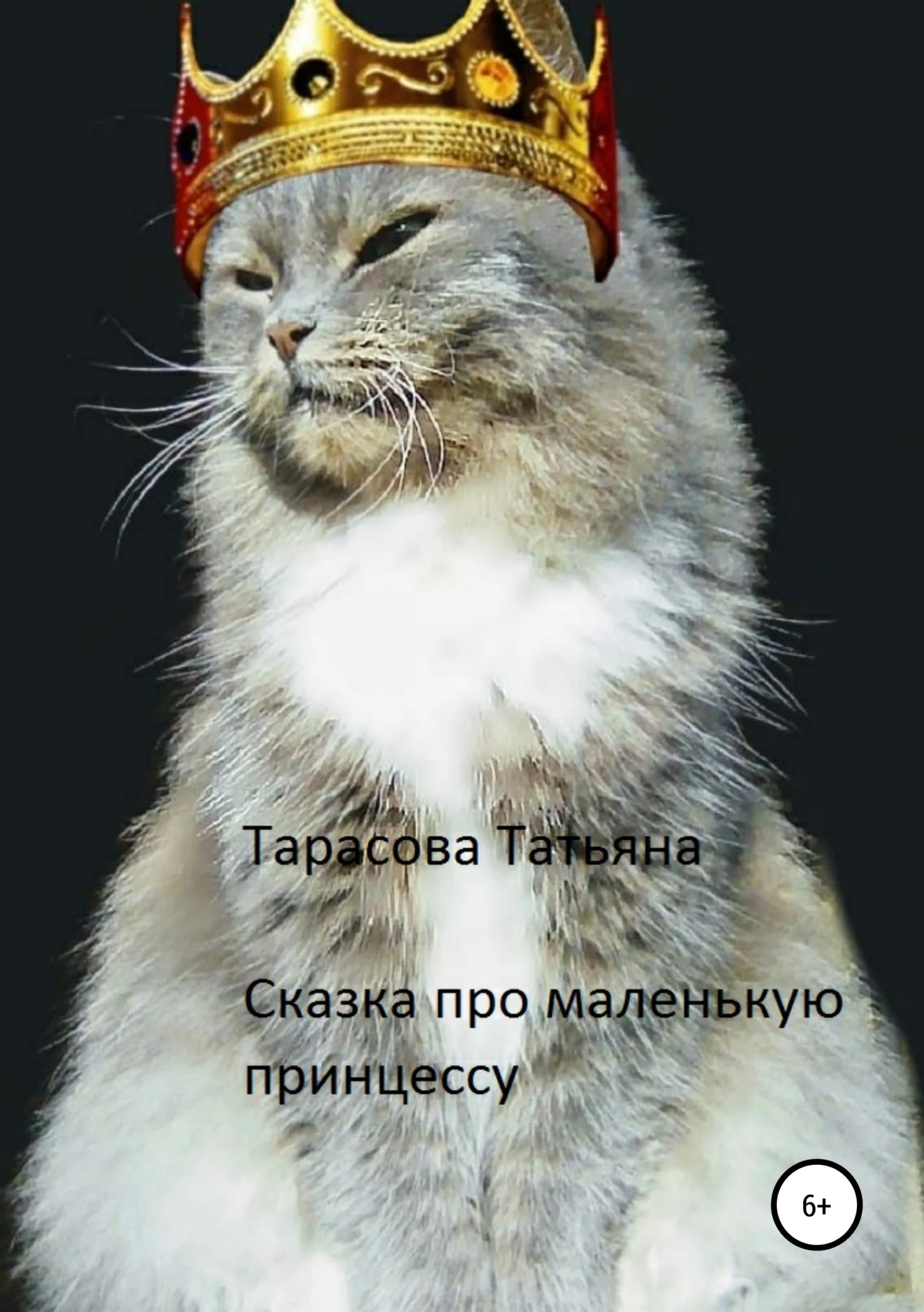 Обложка Сказка про маленькую принцессу