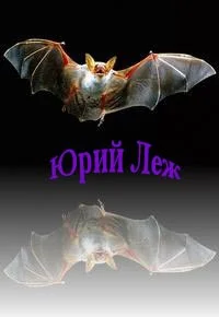 Обложка Искажение[СИ, роман в двух книгах]