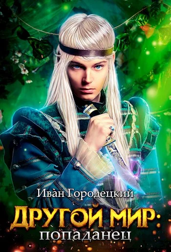 Обложка Попаданец