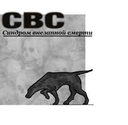 Обложка СВС (Синдром Внезапной Смерти)