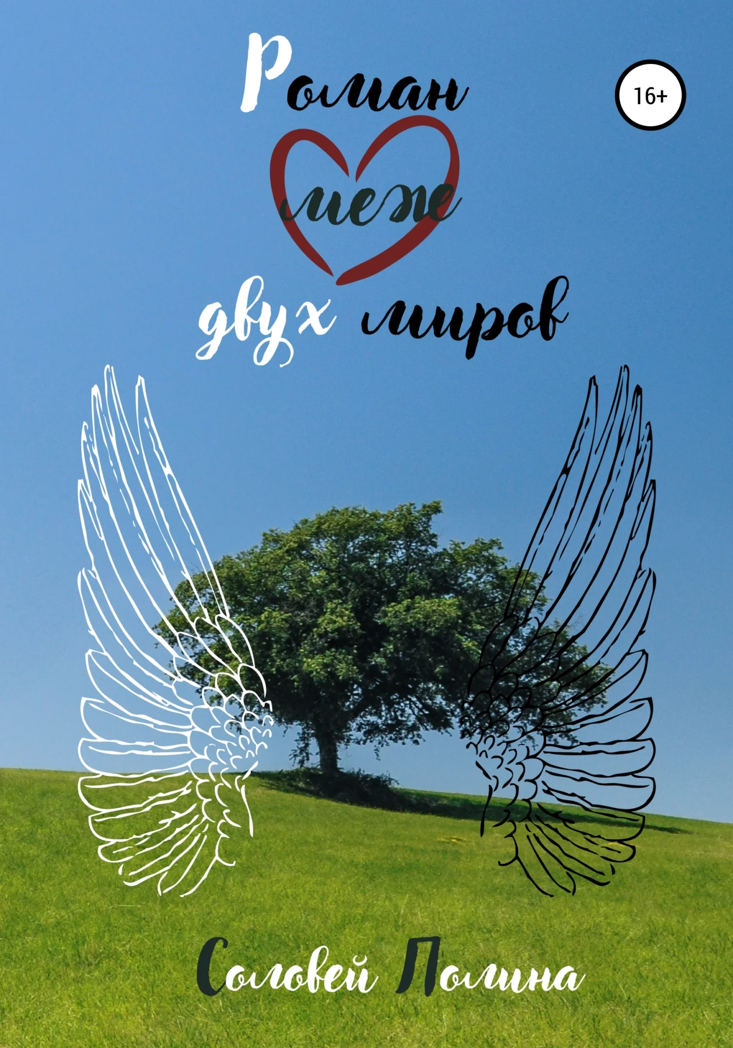 Обложка Роман меж двух миров