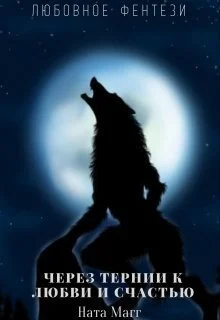 Обложка Через тернии к любви и счастью