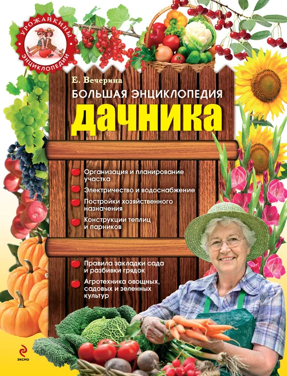 Обложка Большая энциклопедия дачника