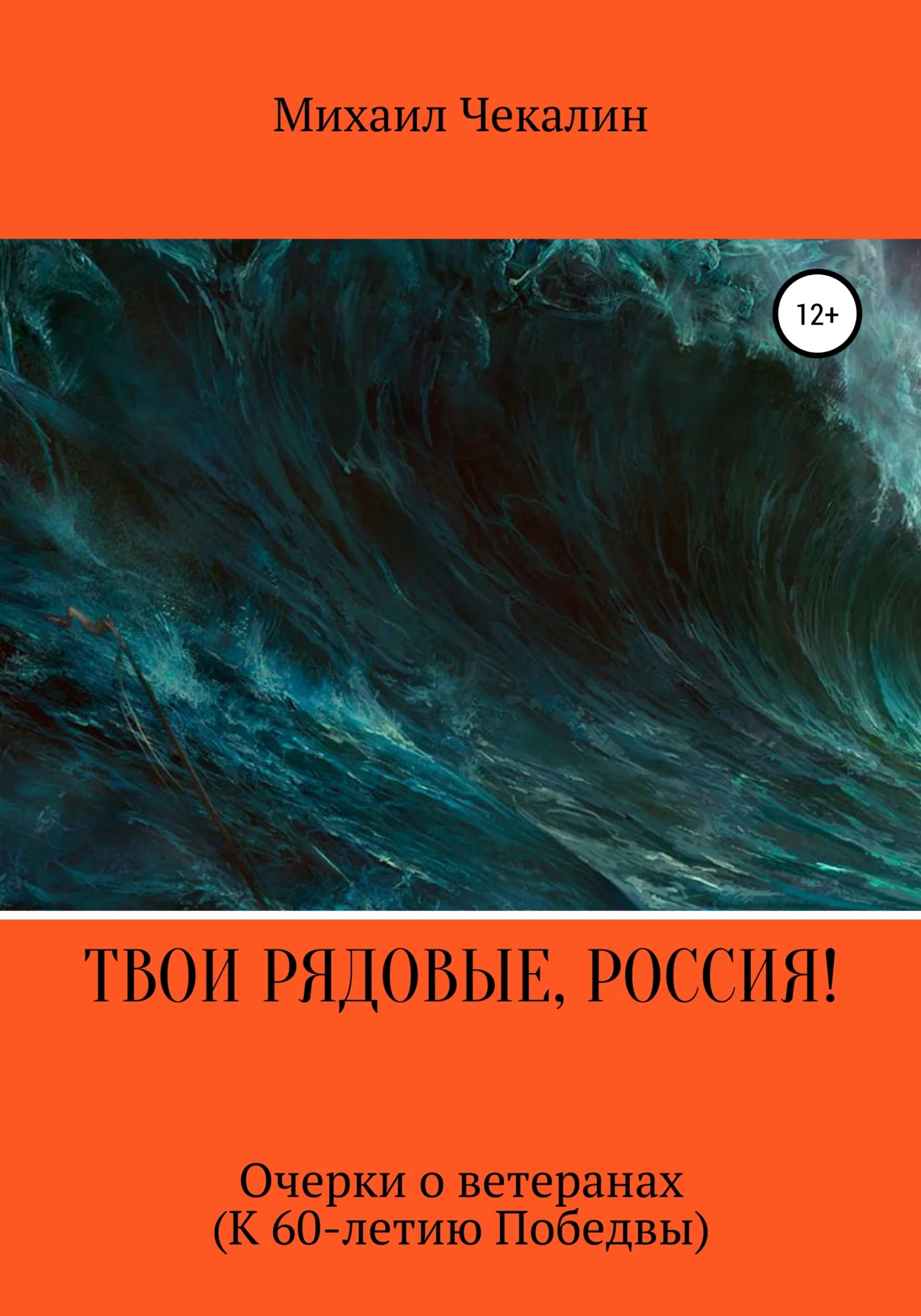 Обложка Твои рядовые, Россия!