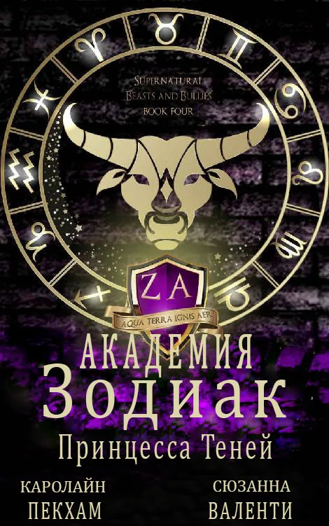 Обложка Принцесса Теней