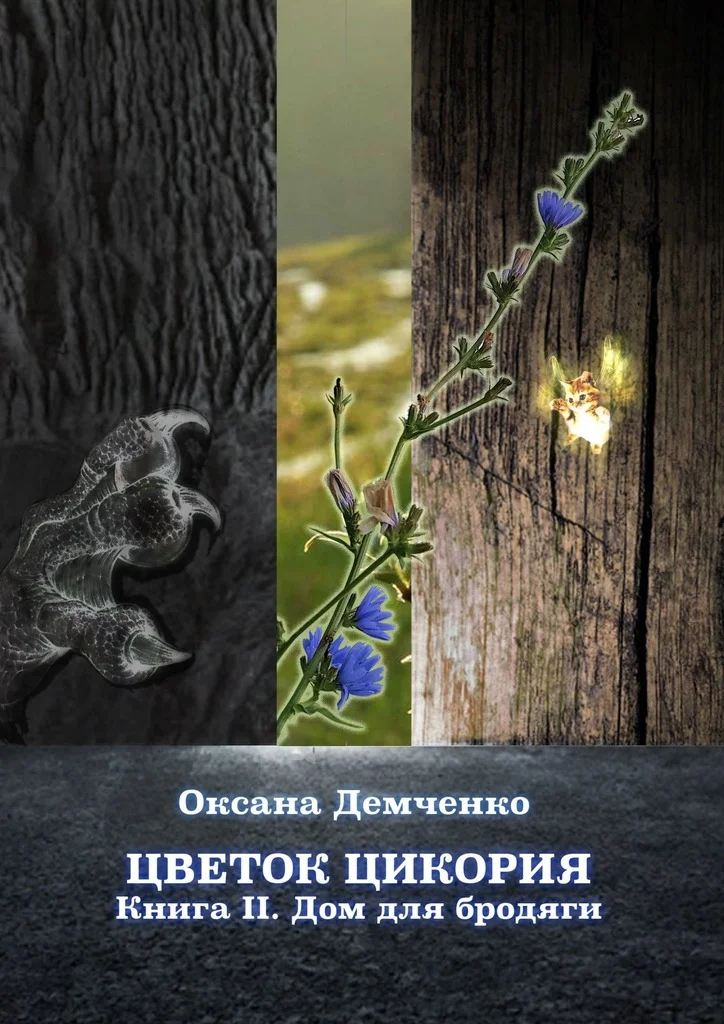 Обложка Дом для бродяги