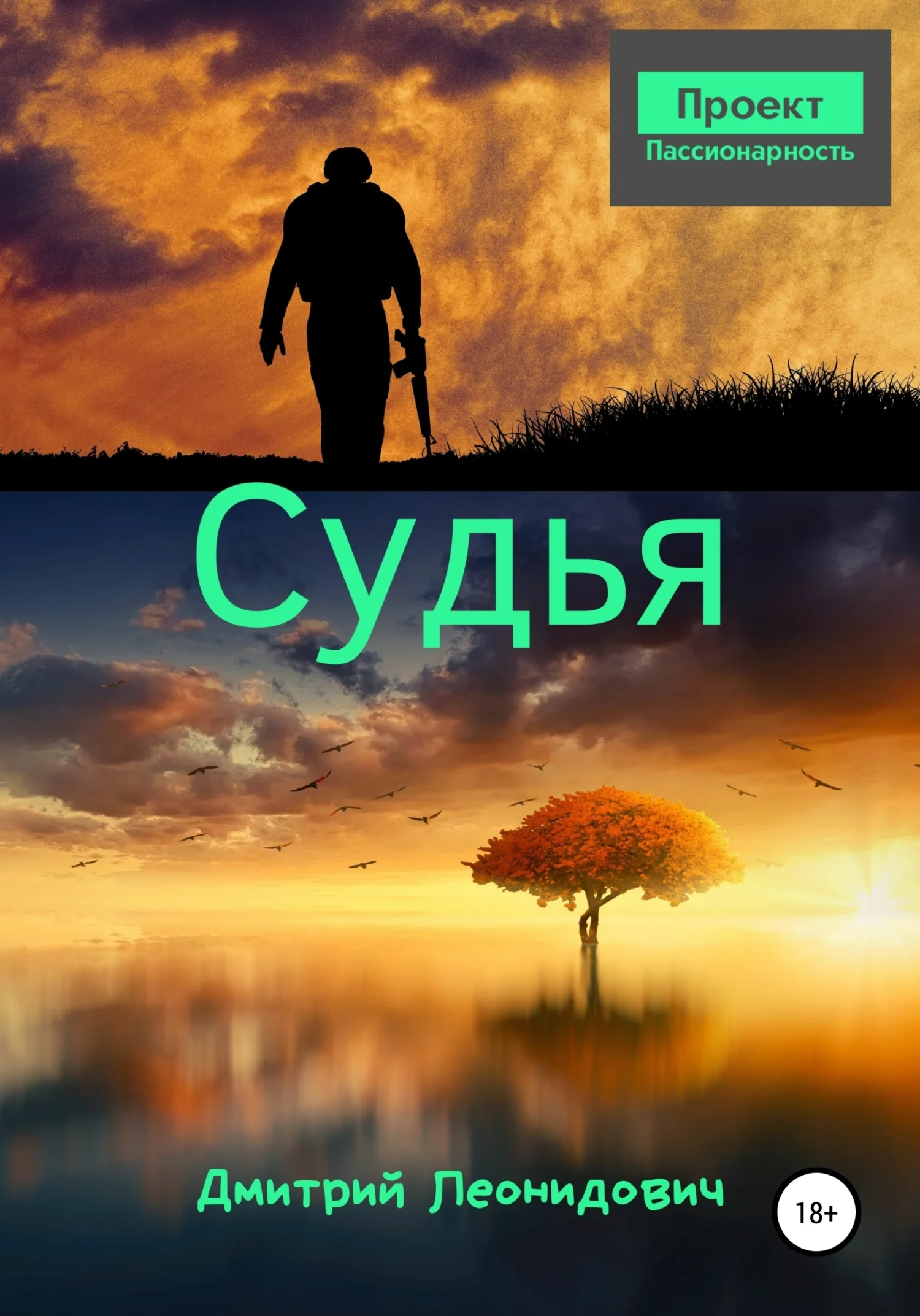 Обложка Судья