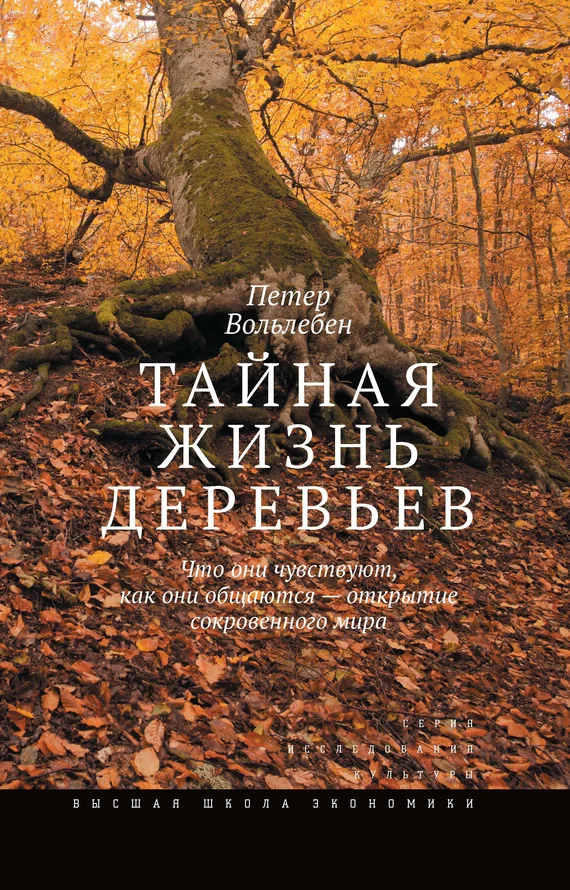Обложка Тайная жизнь деревьев. Что они чувствуют, как они общаются – открытие сокровенного мира